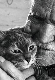 ���� ����� � ������