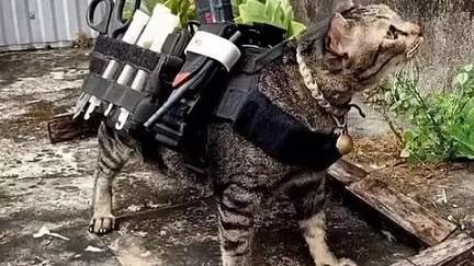 ��� �������� ����� �������� ����� ��������.