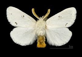 �������- ��������� ����.