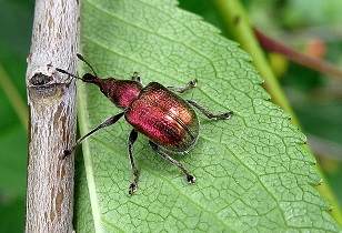 ����-�����������.