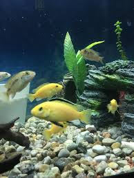 �������.